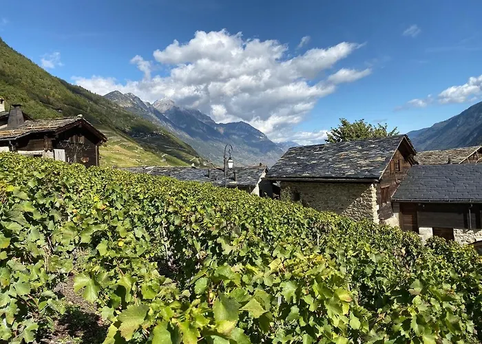 Magnifique En-dessus De Apartment Martigny-Combe