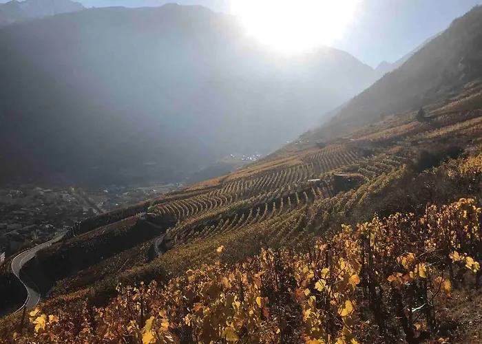 Magnifique En-dessus De * Martigny-Combe